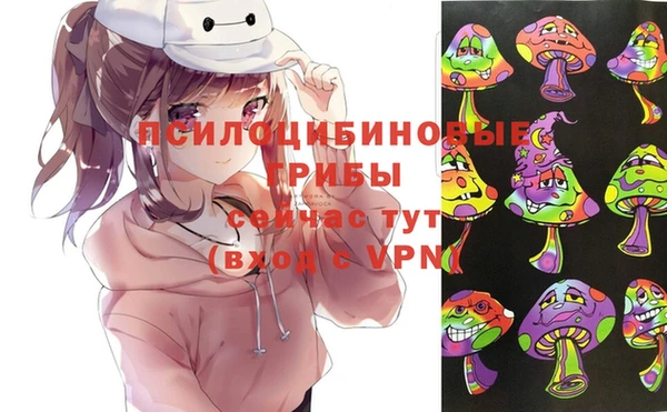 мдпв Заводоуковск