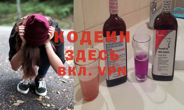 мдпв Заводоуковск