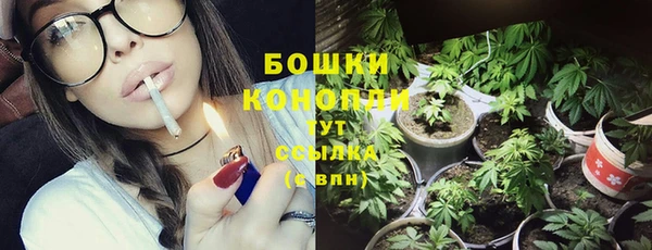 гидра Заволжск
