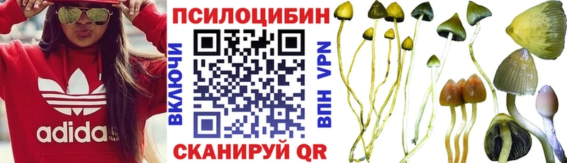 магазин продажи   Унеча  Псилоцибиновые грибы мухоморы 