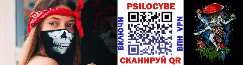 Галлюциногенные грибы Psilocybine cubensis Унеча