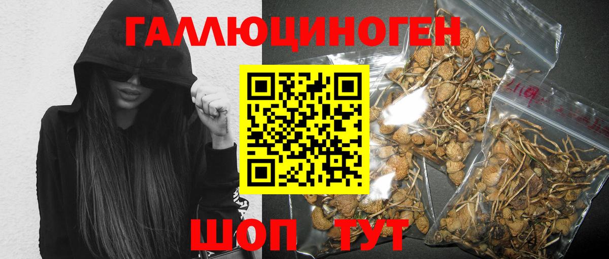 Галлюциногенные грибы ЛСД  Псилоцибиновые грибы GOLDEN TEACHER  Унеча  Вход с VPN 