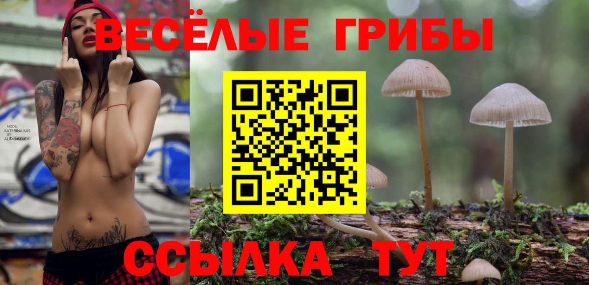 Псилоцибиновые грибы мухоморы Унеча